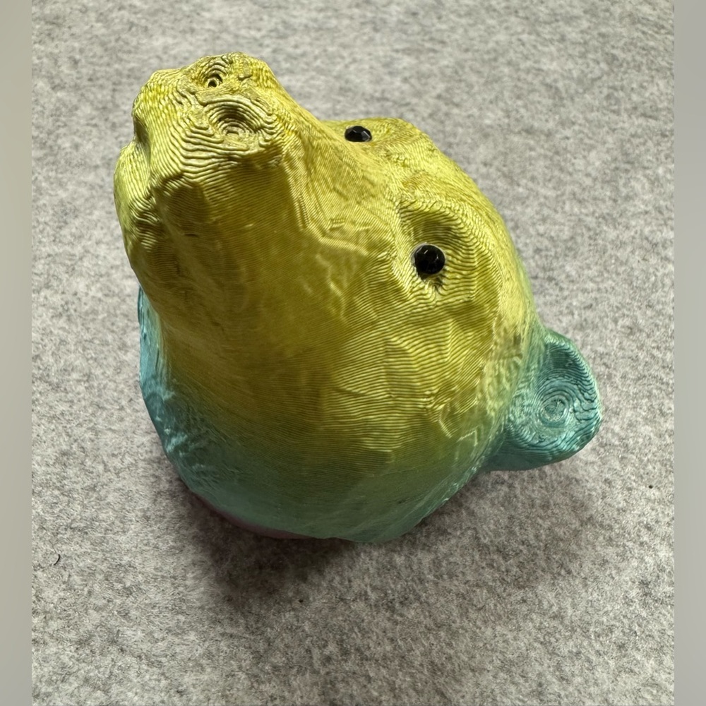 ⚪️Multi-Color 3D Printed Bear